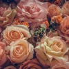 Outlet Liefdevol rozenboeket fotobehang Tienerkamer | Bloemen