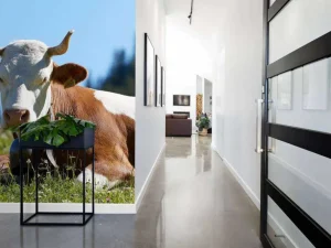 Best Liggende Koe en Kalf fotobehang Dieren
