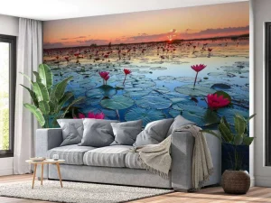 Discount Lotusbloem bij zonsopgang fotobehang Bloemen