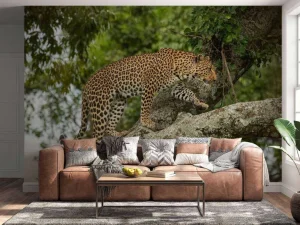 Clearance Luipaard klimt in een boom fotobehang Tienerkamer | Dieren
