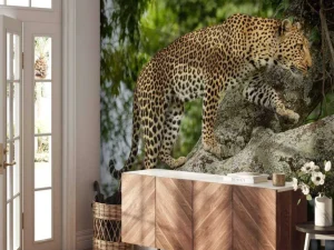 Clearance Luipaard klimt in een boom fotobehang Tienerkamer | Dieren