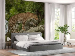 Clearance Luipaard klimt in een boom fotobehang Tienerkamer | Dieren