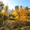Outlet Manhattan Central Park in de herfst fotobehang Architectuur
