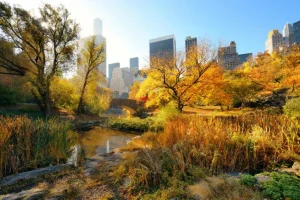 Outlet Manhattan Central Park in de herfst fotobehang Architectuur