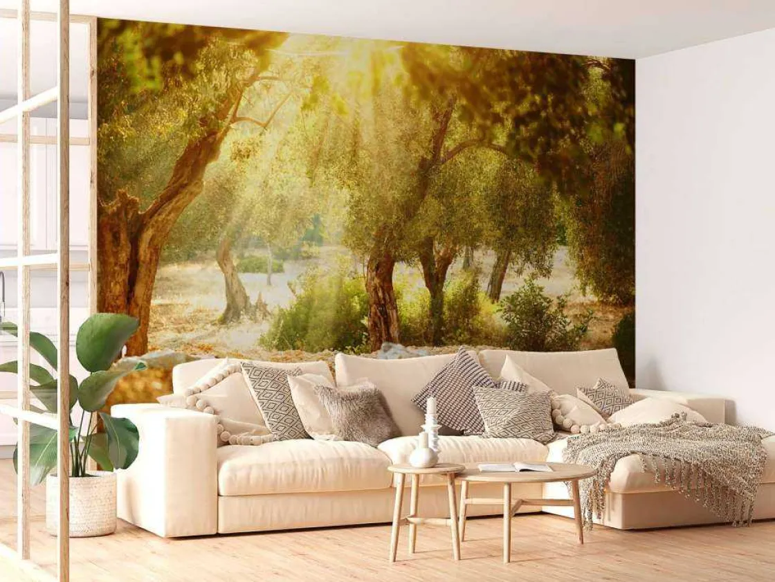 mediterrane_olijven_boomg_10.webp Outlet Mediterrane Olijven Boomgaard fotobehang Bloemen