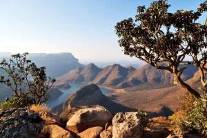 Best Meer in Zuid-Afrika fotobehang Bloemen