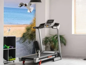 Clearance Meeuwen langs de Baltische kust fotobehang Dieren