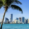New Miami skyline met een palmboom op de voorgrond fotobehang Architectuur
