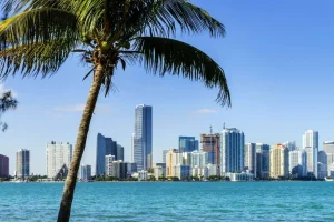 New Miami skyline met een palmboom op de voorgrond fotobehang Architectuur