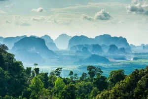 Fashion Mistig landschap in Thailand fotobehang Bloemen