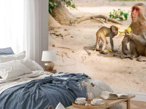Discount Moeder aap geeft haar kindje te eten fotobehang Dieren