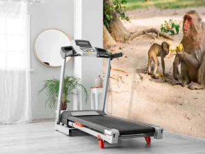 Discount Moeder aap geeft haar kindje te eten fotobehang Dieren