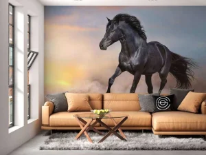 Outlet Mooi Zwart Paard in Zand fotobehang Dieren