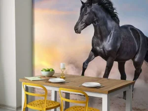 Outlet Mooi Zwart Paard in Zand fotobehang Dieren