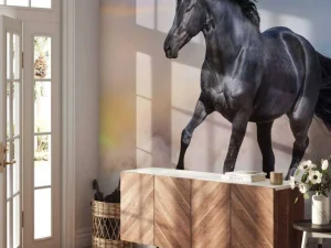 Outlet Mooi Zwart Paard in Zand fotobehang Dieren