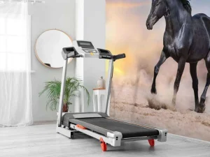 Outlet Mooi Zwart Paard in Zand fotobehang Dieren