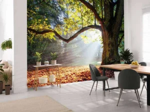 New Mooie Eik in het Bos fotobehang Bloemen