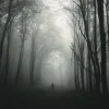 Clearance Mysterieuze Bos met Mist fotobehang Bloemen
