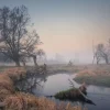 Outlet Natuurgebied in de vroege ochtend fotobehang Bloemen