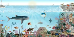 Sale Ocean Lookbook Kinderkamer