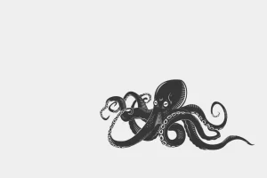 Discount Octopus met een witte achtergrond fotobehang Kinderkamer | Babykamer