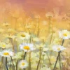 Sale Olieverfschilderij van kamille bloemen fotobehang Kunst & Design | Bloemen