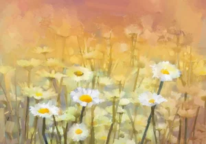 Sale Olieverfschilderij van kamille bloemen fotobehang Kunst & Design | Bloemen