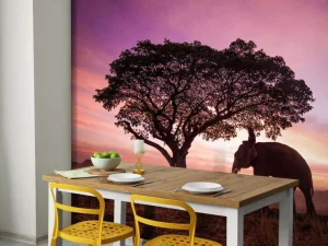 Best Olifant bij een unieke zonsondergang fotobehang Bloemen