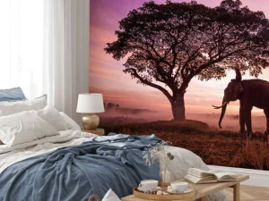 Best Olifant bij een unieke zonsondergang fotobehang Bloemen