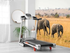 Fashion Olifant en Baby Olifant in Afrika fotobehang Dieren