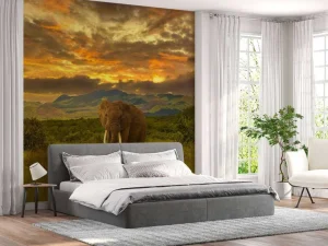 Online Olifant in Kenia bij zonsondergang fotobehang Dieren