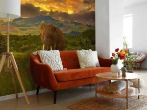 Online Olifant in Kenia bij zonsondergang fotobehang Dieren