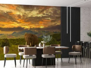 Online Olifant in Kenia bij zonsondergang fotobehang Dieren