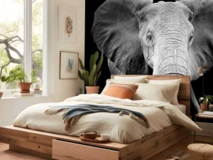 New Olifant met een zwarte achtergrond fotobehang Gang