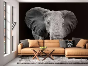 New Olifant met een zwarte achtergrond fotobehang Gang