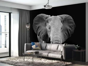 New Olifant met een zwarte achtergrond fotobehang Gang