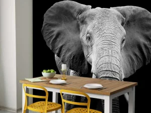 New Olifant met een zwarte achtergrond fotobehang Gang