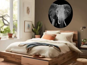 New Olifant met een zwarte achtergrond fotobehang Gang