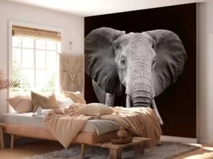 New Olifant met een zwarte achtergrond fotobehang Gang