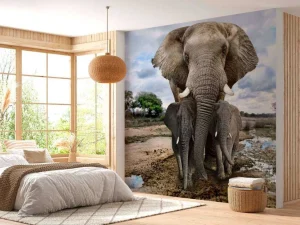 Sale Olifant met kinderen fotobehang Dieren