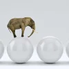 Best Olifant op een witte bal fotobehang Dieren | 3d