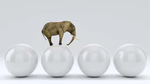 Best Olifant op een witte bal fotobehang Dieren | 3d