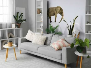 Best Olifant op een witte bal fotobehang Dieren | 3d