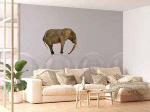 Best Olifant op een witte bal fotobehang Dieren | 3d