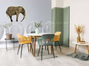 Best Olifant op een witte bal fotobehang Dieren | 3d