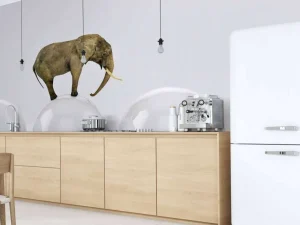 Best Olifant op een witte bal fotobehang Dieren | 3d