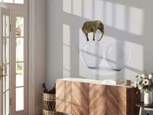 Best Olifant op een witte bal fotobehang Dieren | 3d