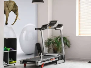 Best Olifant op een witte bal fotobehang Dieren | 3d