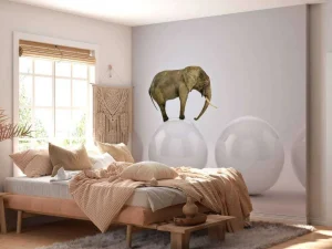 Best Olifant op een witte bal fotobehang Dieren | 3d