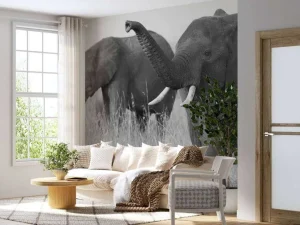 Fashion Olifanten in zwart-wit fotobehang Dieren